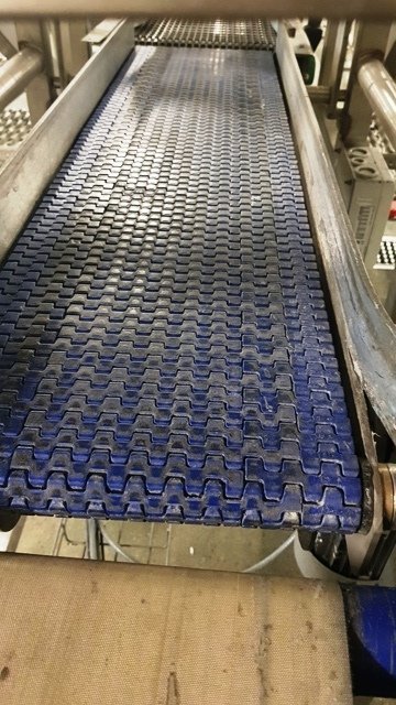 LOT 193 CONVEYOR