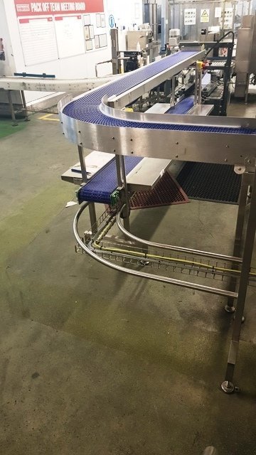 LOT 194 CONVEYOR