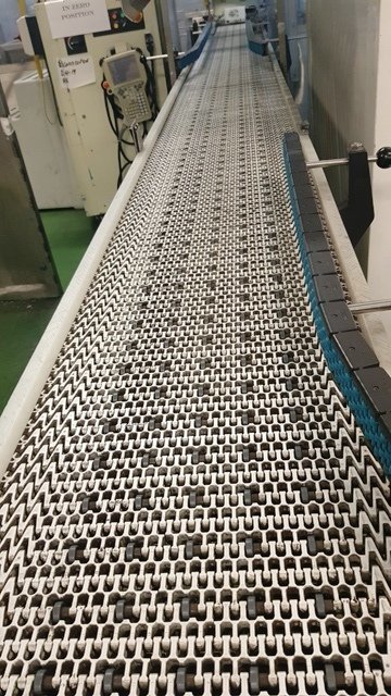 LOT 202 CONVEYOR