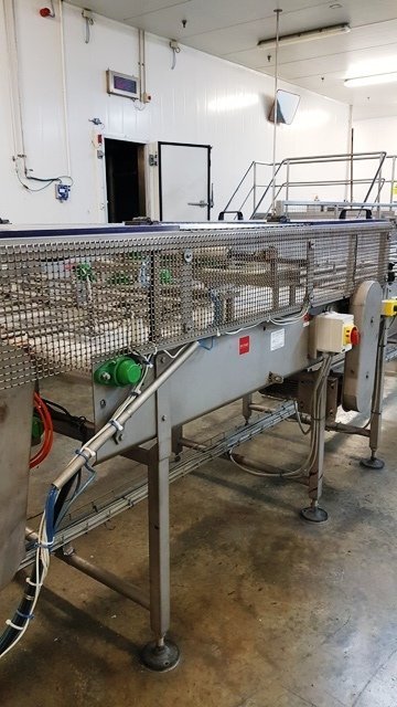 LOT 206 CONVEYOR