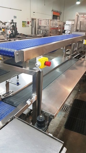 LOT 216 CONVEYOR