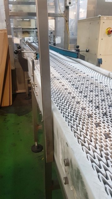 LOT 221 CONVEYOR