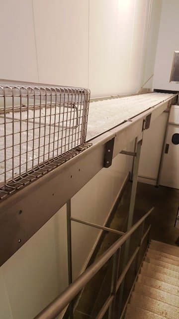 LOT 281 CONVEYOR