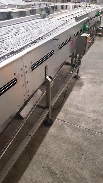 LOT 283 CONVEYOR