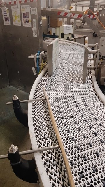 LOT 293 CONVEYOR