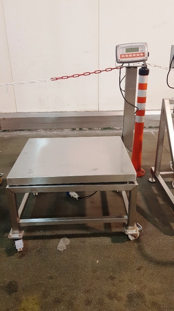 LOT 313 SCALES