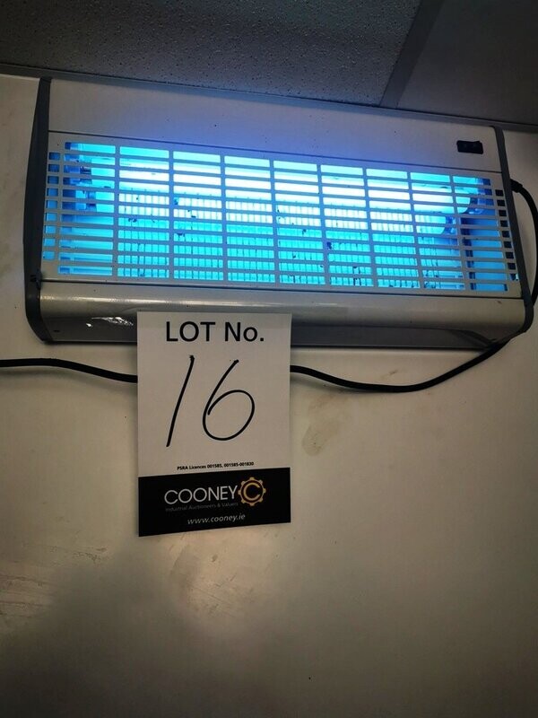 LOT 16- INSCECT