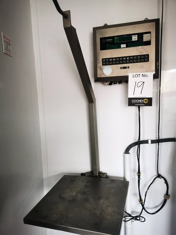 LOT 19 - SCALES
