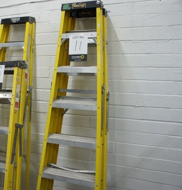 LOT 11 -  LADDER