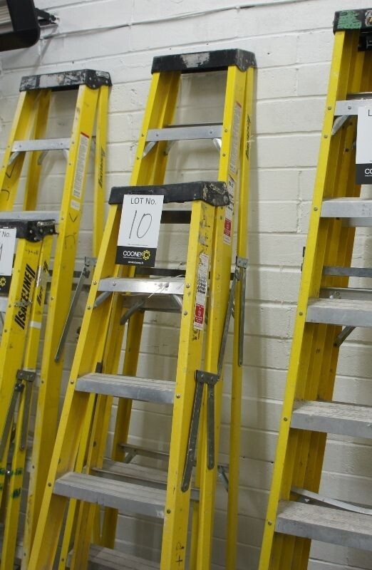 LOT 10 -  LADDER