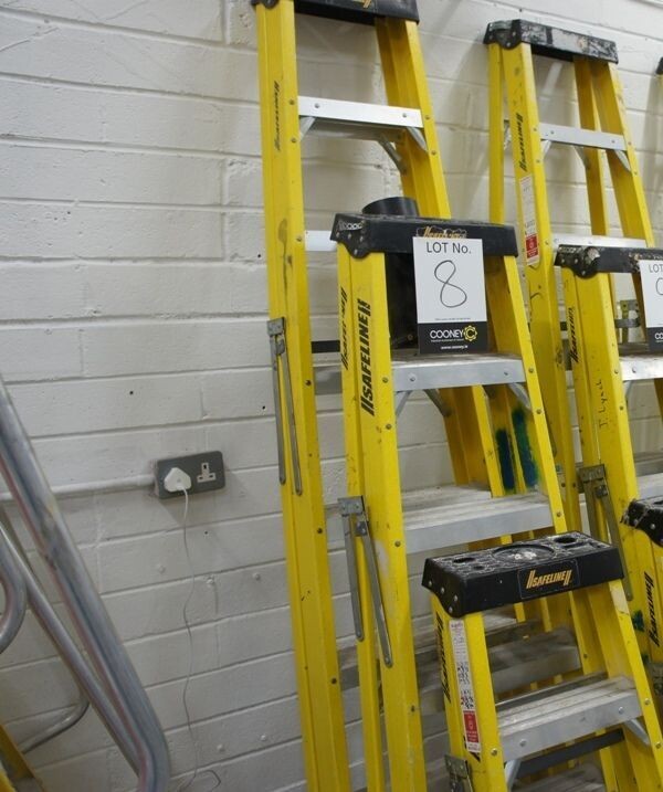 LOT 8 -  LADDER