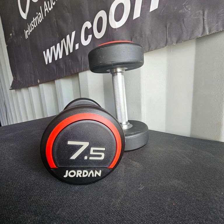 LOT 31 -  DUMBBELLS