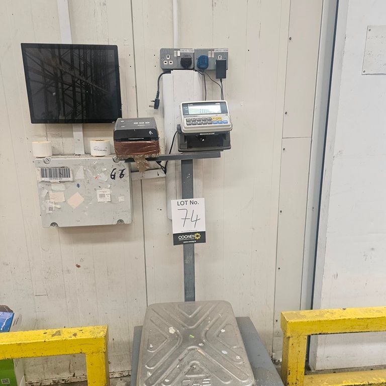 LOT 74 -  SCALES