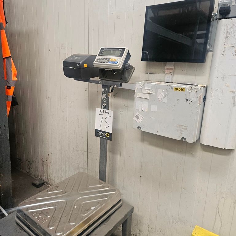 LOT 75 -  SCALES