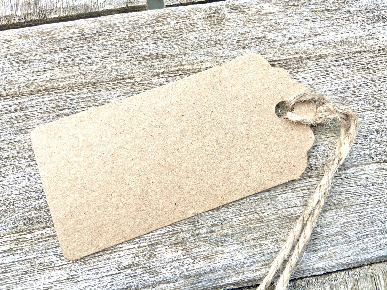 Recycled Kraft Tags (10 pk) - Large 45 x 85mm