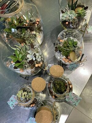 Terrarium de plantes vertes ou de plantes grasses