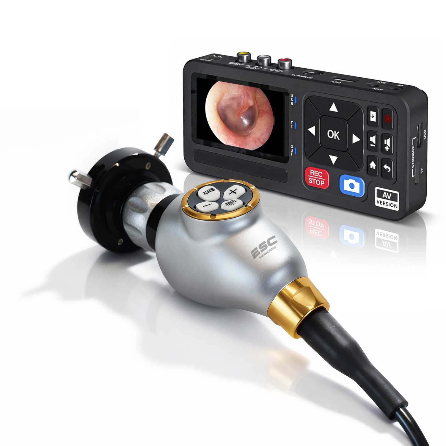 Portable Ent Endoscopy Camera with HD Recorder for nasal , laryngoscopy , ear
