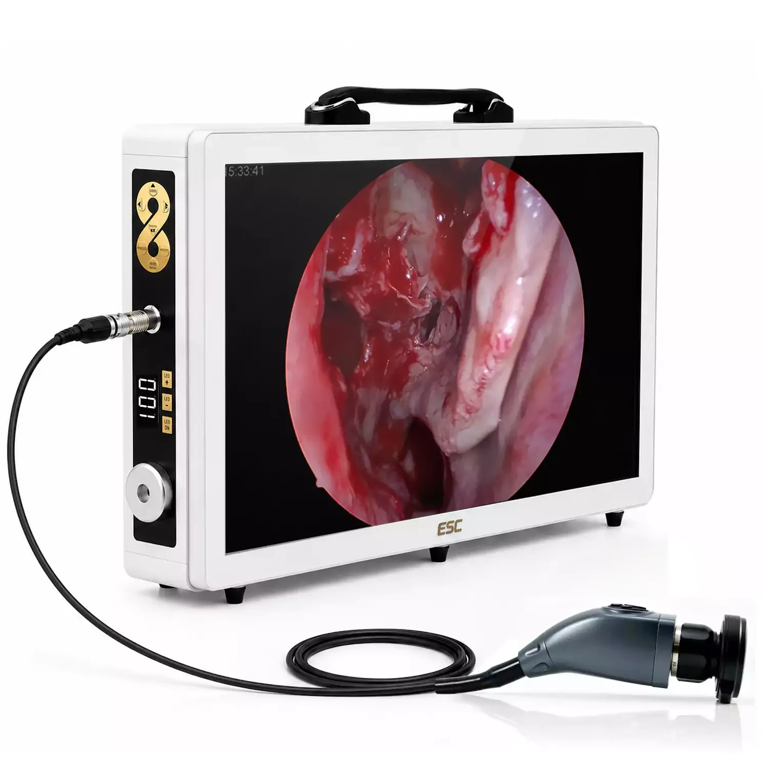 Portable 3-in-1 Endoscopy Camera with Light and Monitor