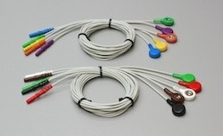 Recording Leads - 10 Pin to Snap Connectors