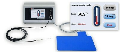Homeothermic Monitoring System