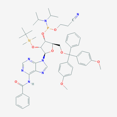 5'-O-DMT-2'-OTBDMS N-Bz Adenosine Phosphoramidite (Amidite) - CAS No. 104992-55-4