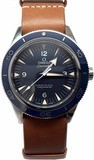 Omega Seamaster 300 233.90.41.21.03.001