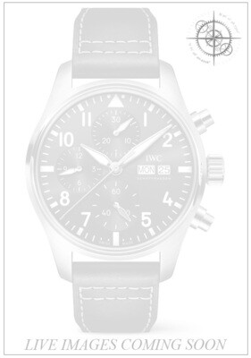 IWC Pilot's Watch Chronograph 41 IW388101