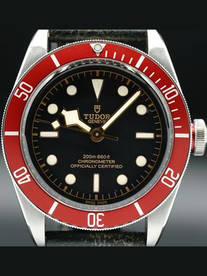 Tudor Black Bay 41 M79230R-0011