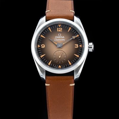 Omega 235.12.38.20.13.001 Railmaster on Strap