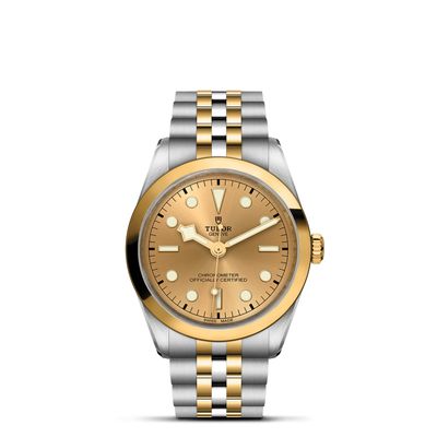TUDOR Black Bay 36 S&G M79643-0005