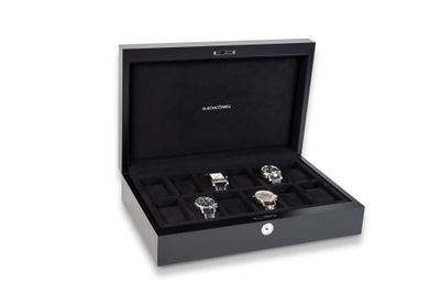 Buben & Zorweg Neo Case 12 Carbon Matte