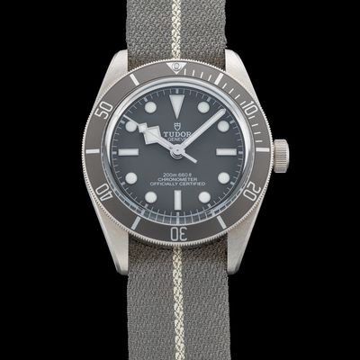 TUDOR Black Bay Fifty-Eight M79010SG-0002
