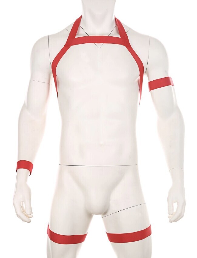 Chest & Leg Harness with Arm/Wrist Band