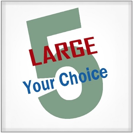 PICK 5 - Large
