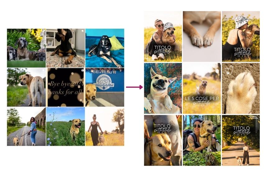 Feed Instagram studiato su misura