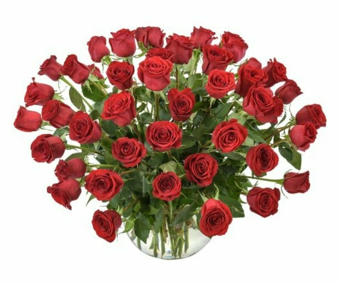 WOW! 50 Roses in a large vase