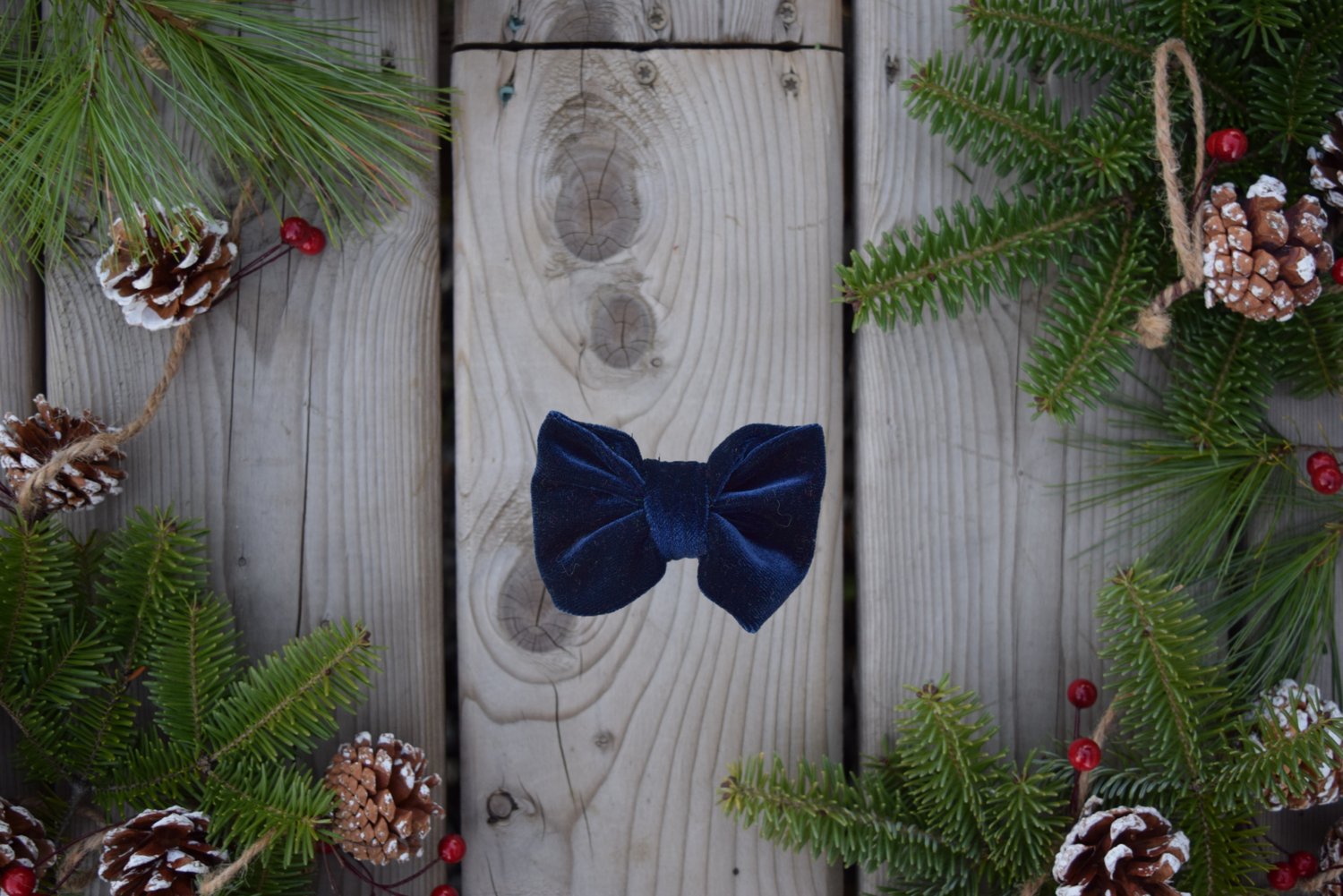 FROST BOW TIE
