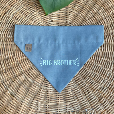 BIG BROTHER