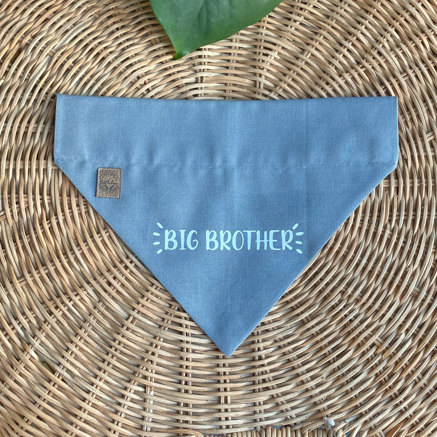 BIG BROTHER