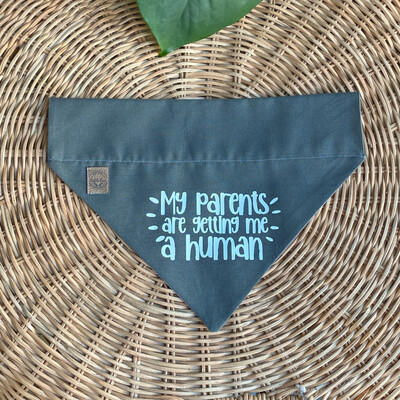 GETTING ME A HUMAN