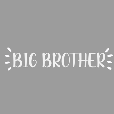 BIG BROTHER