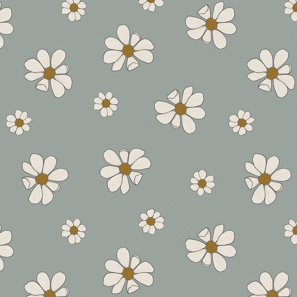 DAISY