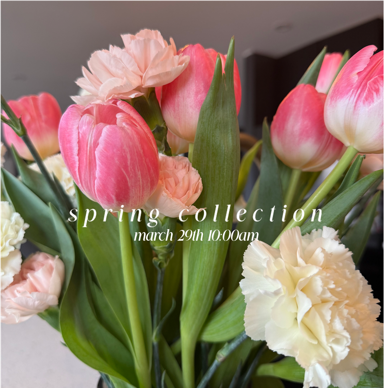 SPRING COLLECTION