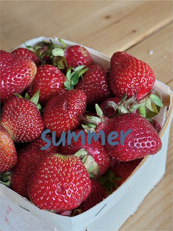 SUMMER COLLECTION 