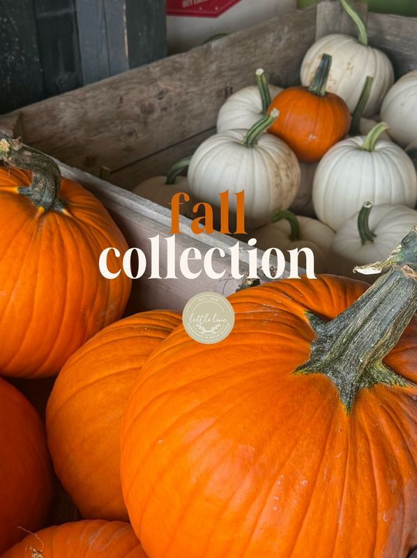 FALL COLLECTION 