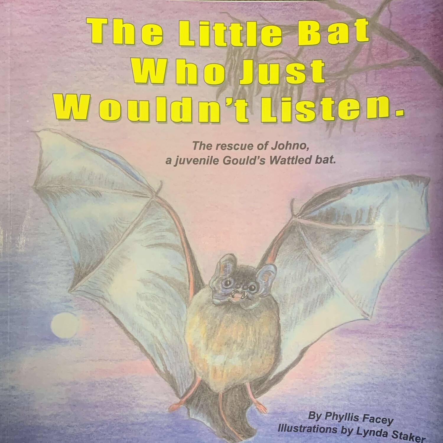 The Little Bat Who Just Wouldn’t Listen Storybook