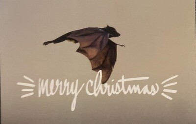 Card - Christmas FLYING
