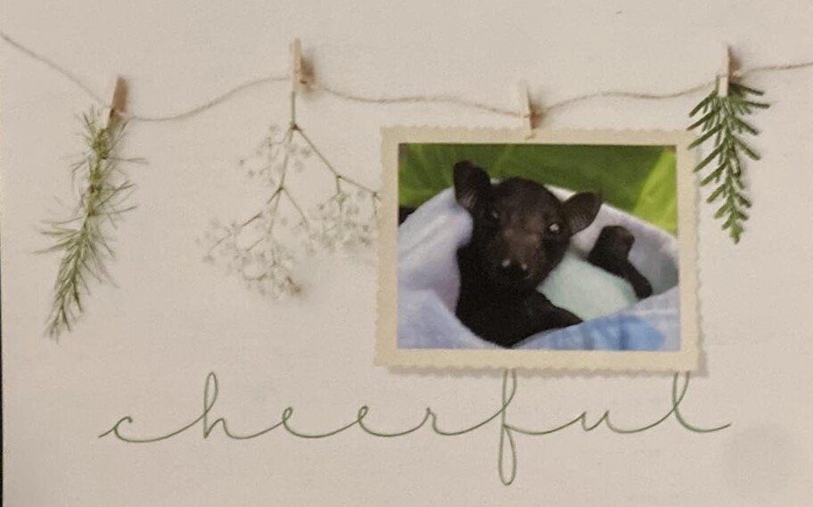 Card - Christmas CHEERFUL