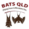 Bats QLD Online Store