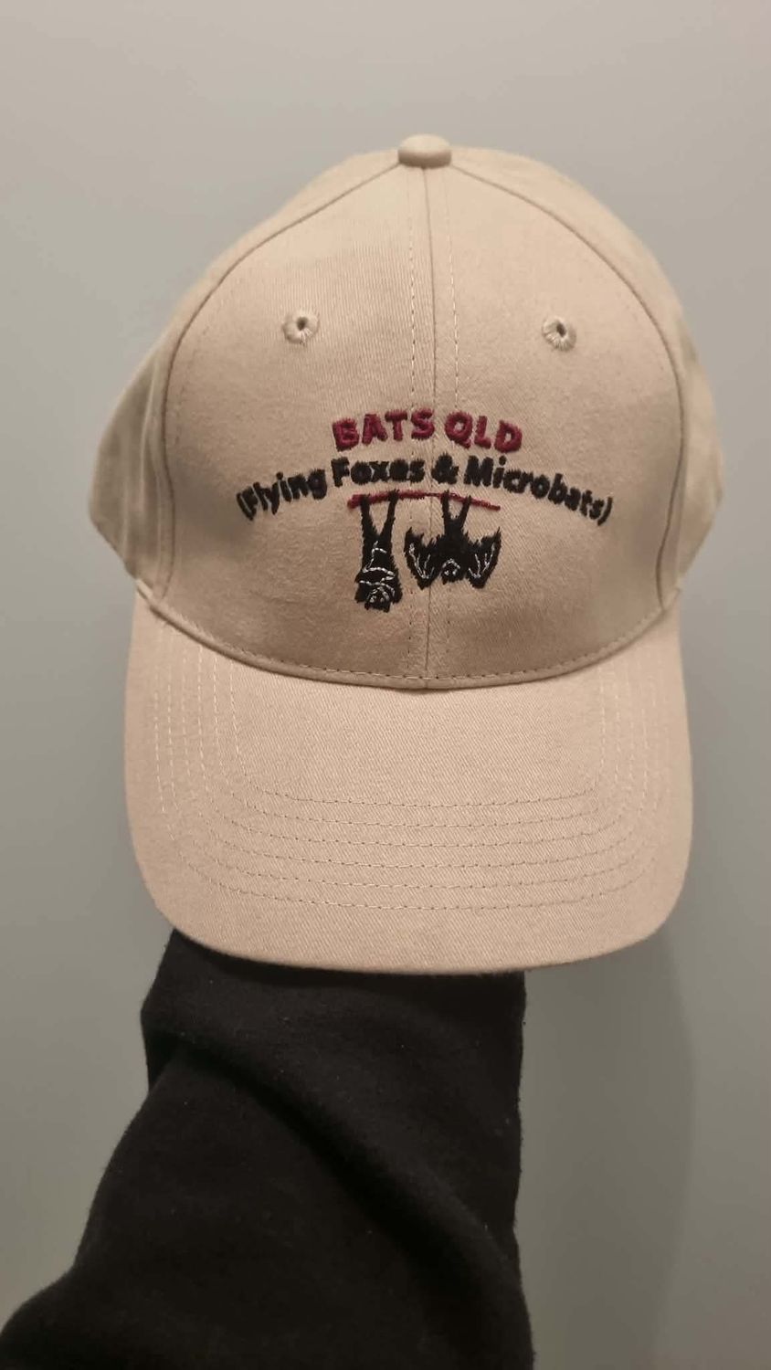 BatsQld Cap